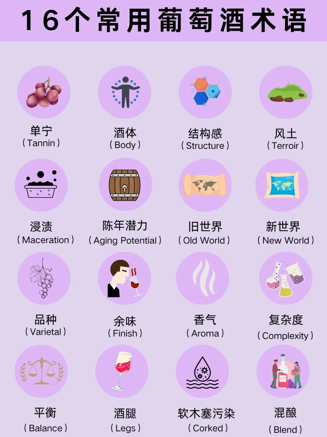16个葡萄酒常用术语?看完带你玩转葡萄酒?