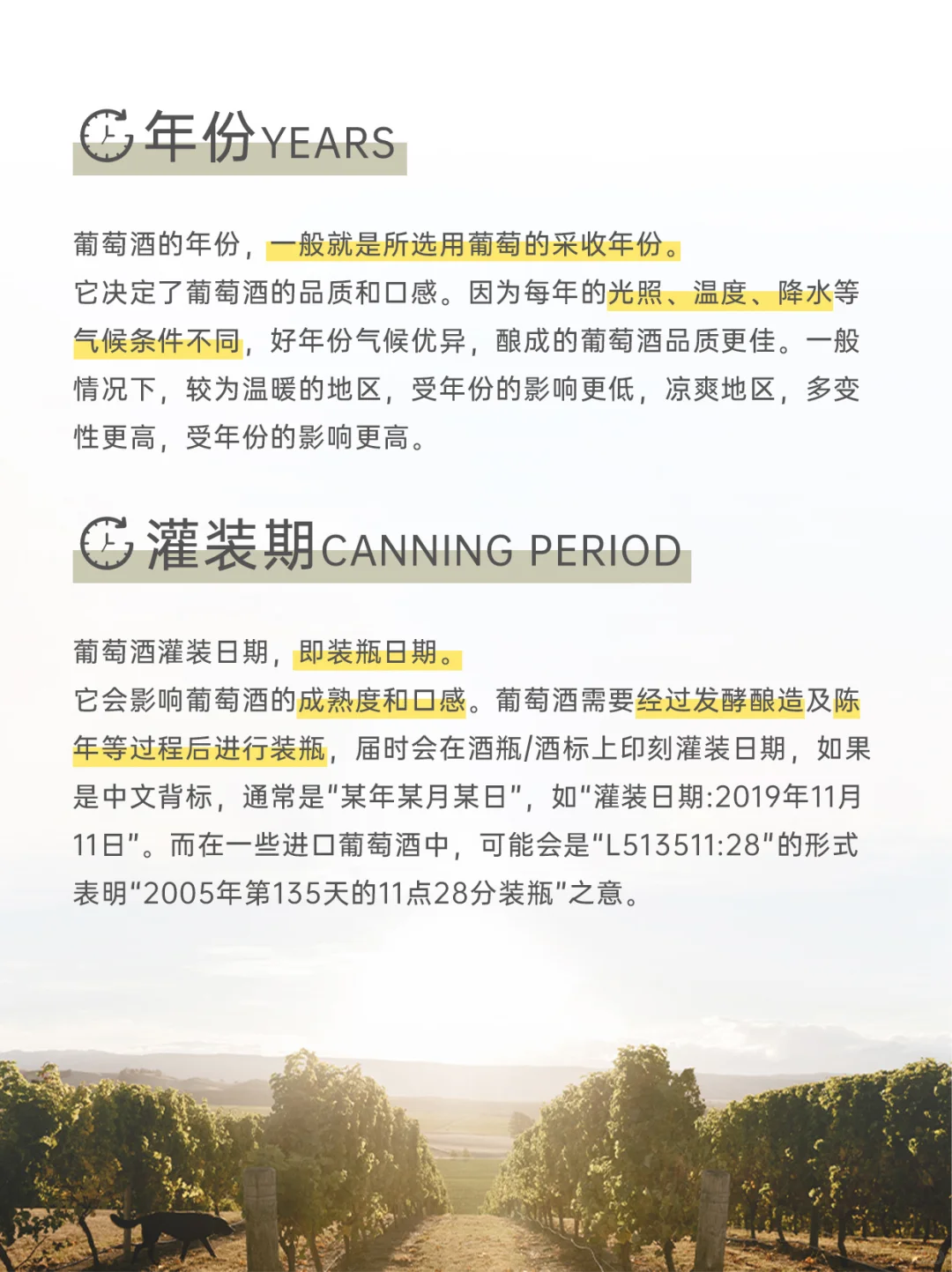 葡萄酒还有保质期？解读6️⃣个葡萄酒重要日期