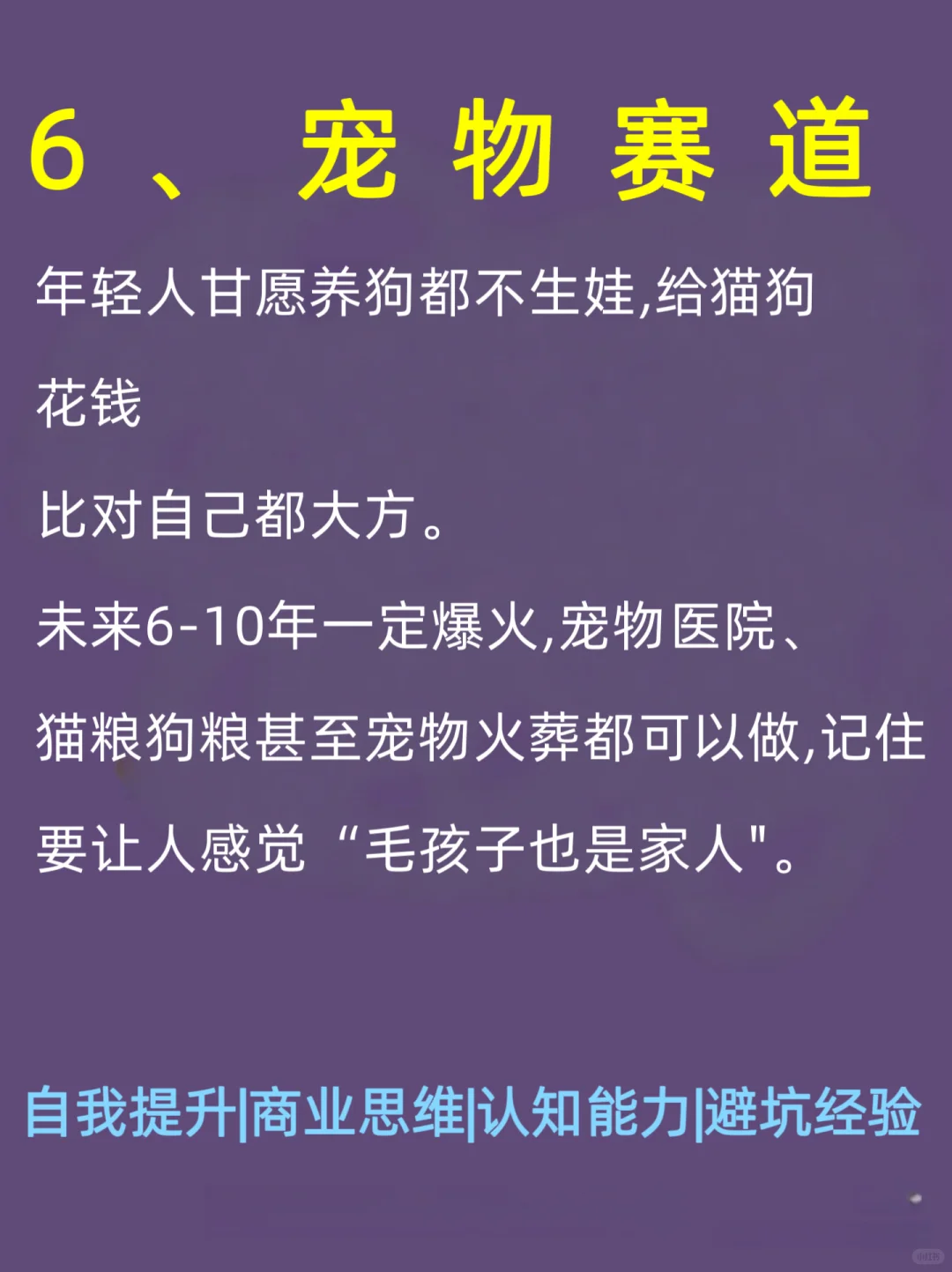 2025年猪都可以起飞的10个风口