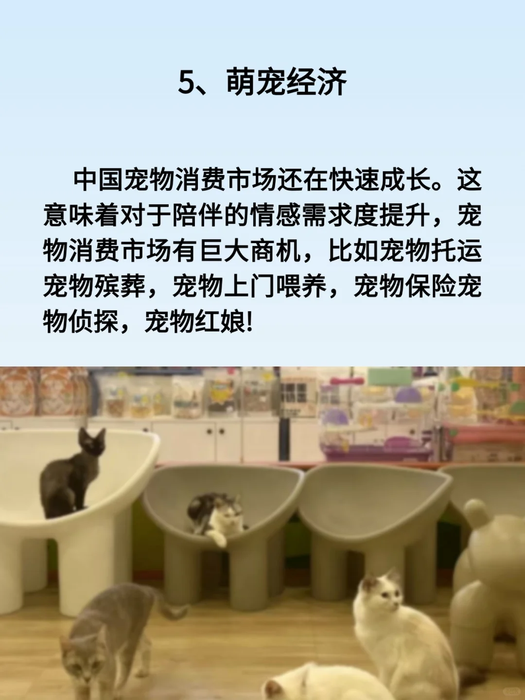 你缺的不是钱而是赚钱的行业???