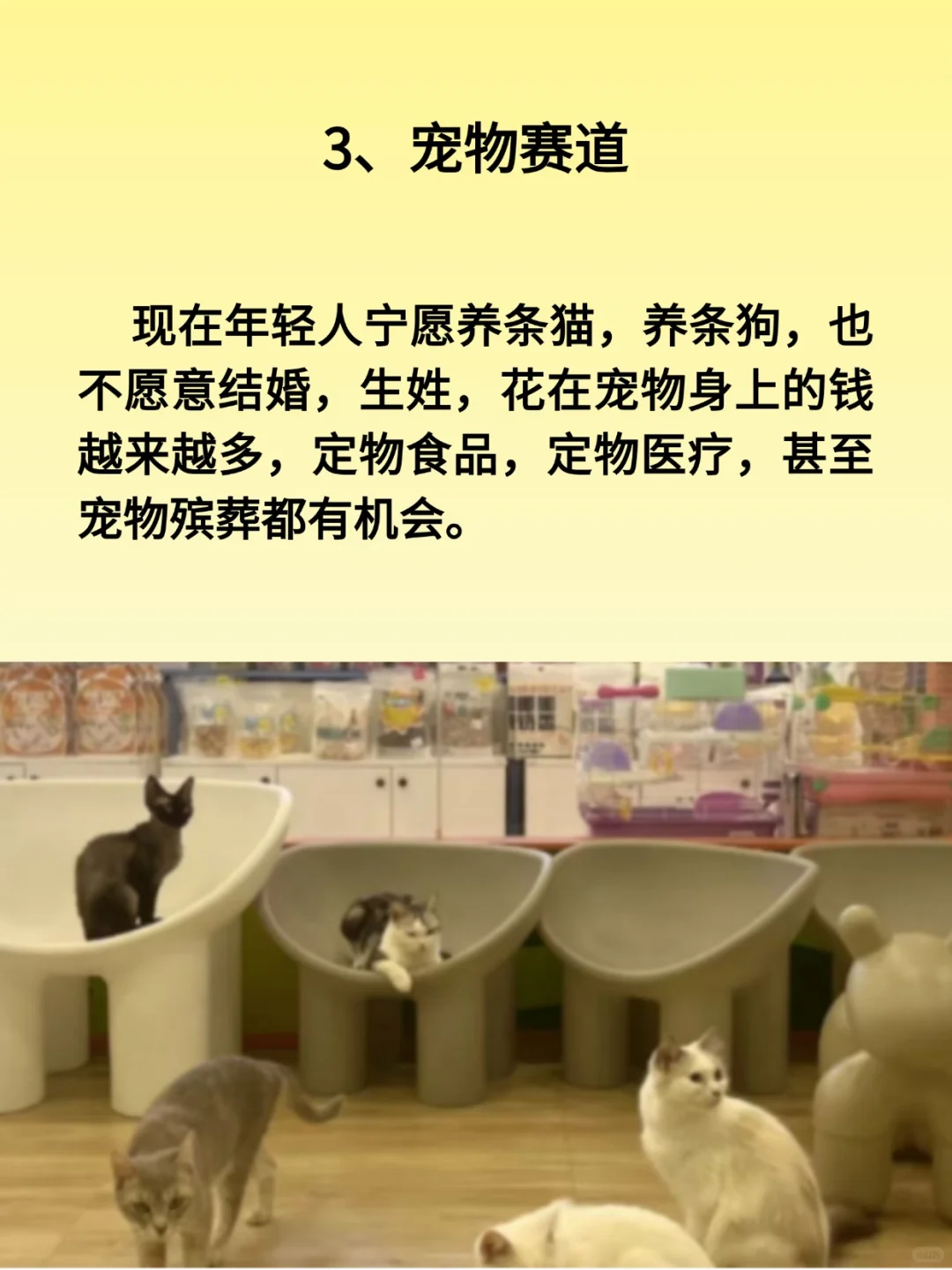你缺的不是钱、而是赚钱的行业