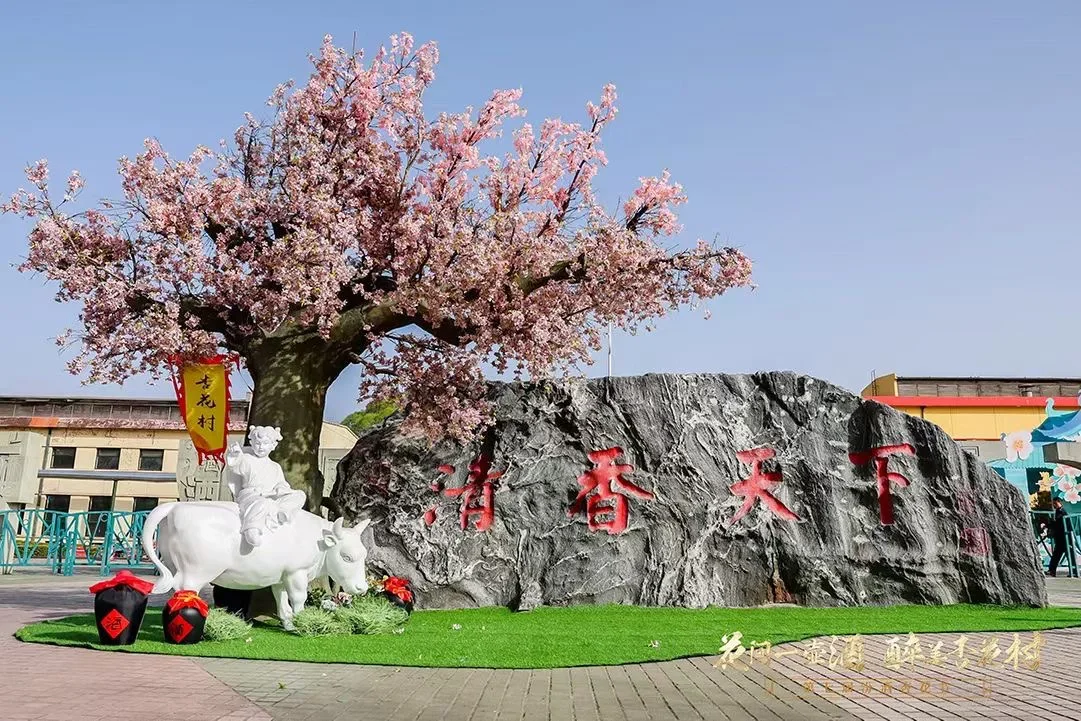汾酒青花20 ｜与君共饮，快乐无穷！