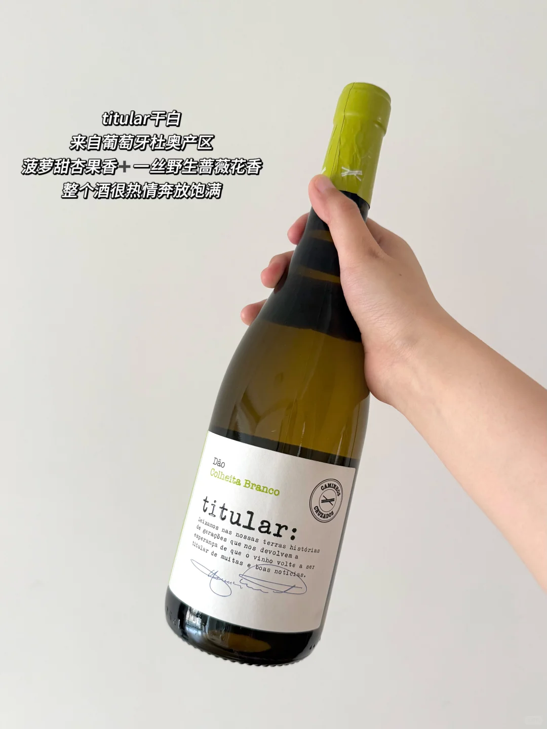 真的很爱挖一些小众葡萄酒！