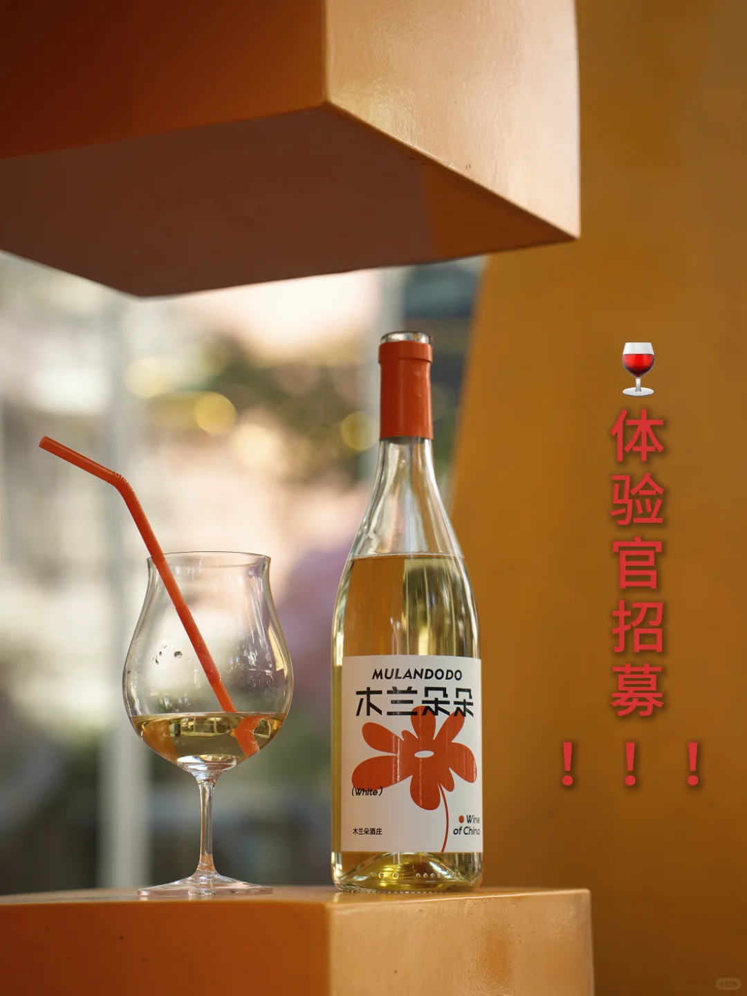 葡萄酒?品鉴官招募！ 福利满满！