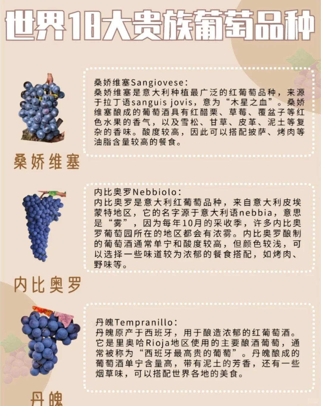 一文解读✅|世界18大贵族葡萄品种?[星R]