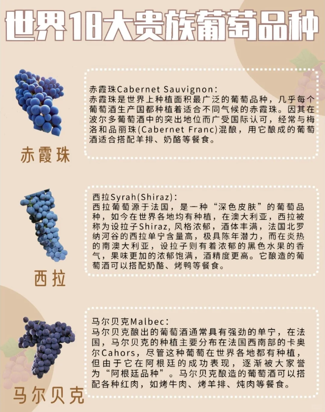 一文解读✅|世界18大贵族葡萄品种?[星R]