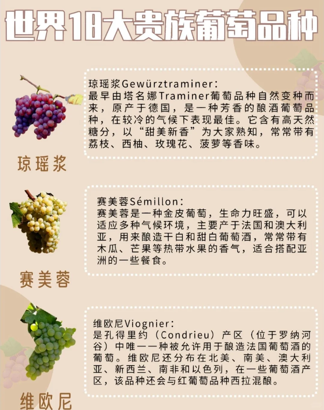 一文解读✅|世界18大贵族葡萄品种?[星R]