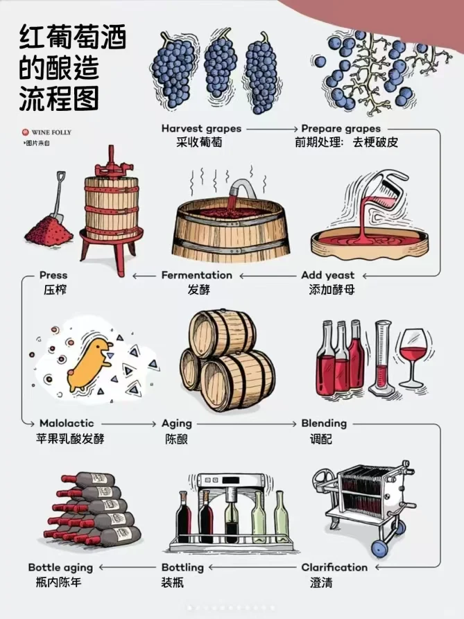 ?华昊酒庄 | 红葡萄酒的酿造流程图 ?