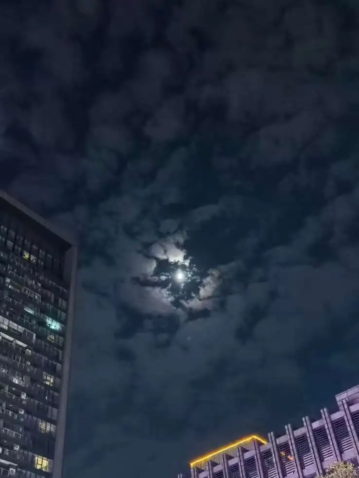 夜晚微醺,30+女酒鬼私藏的选择