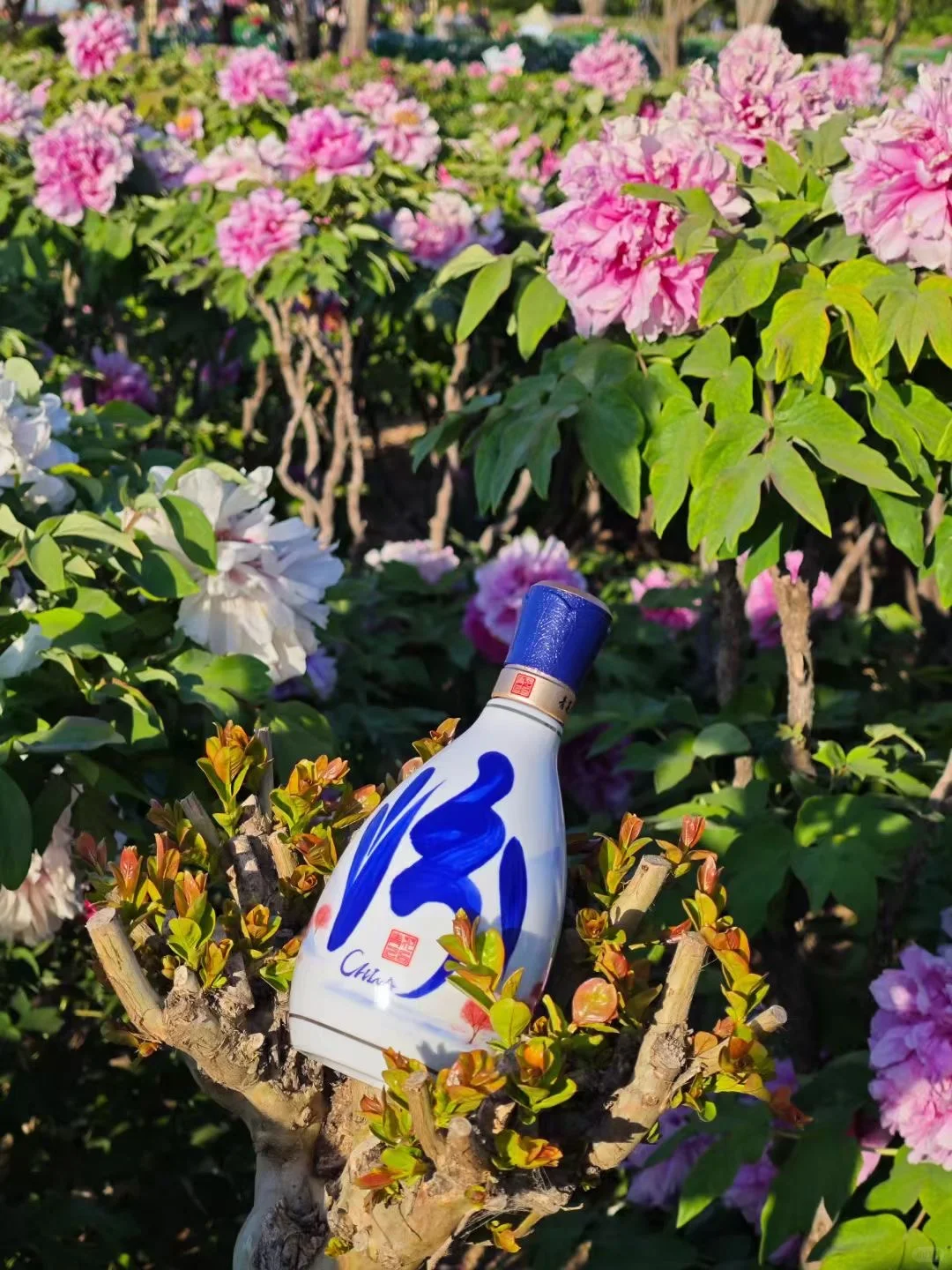 ?今日份高级感是这抹青花蓝给的?