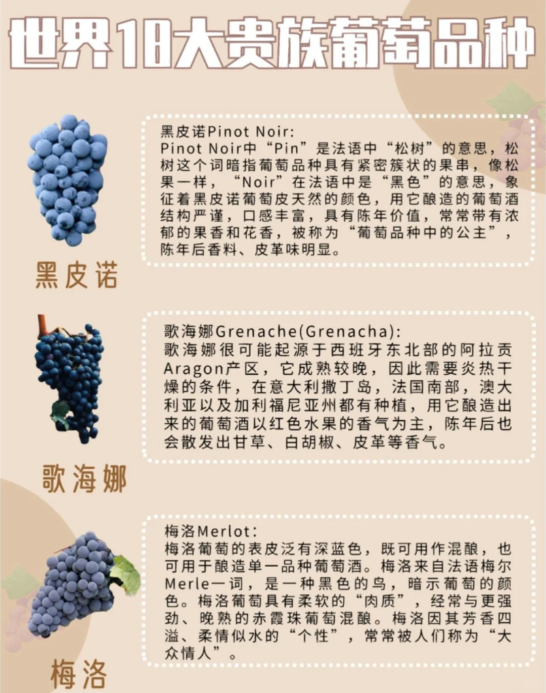 一文解读✅|世界18大贵族葡萄品种?[星R]