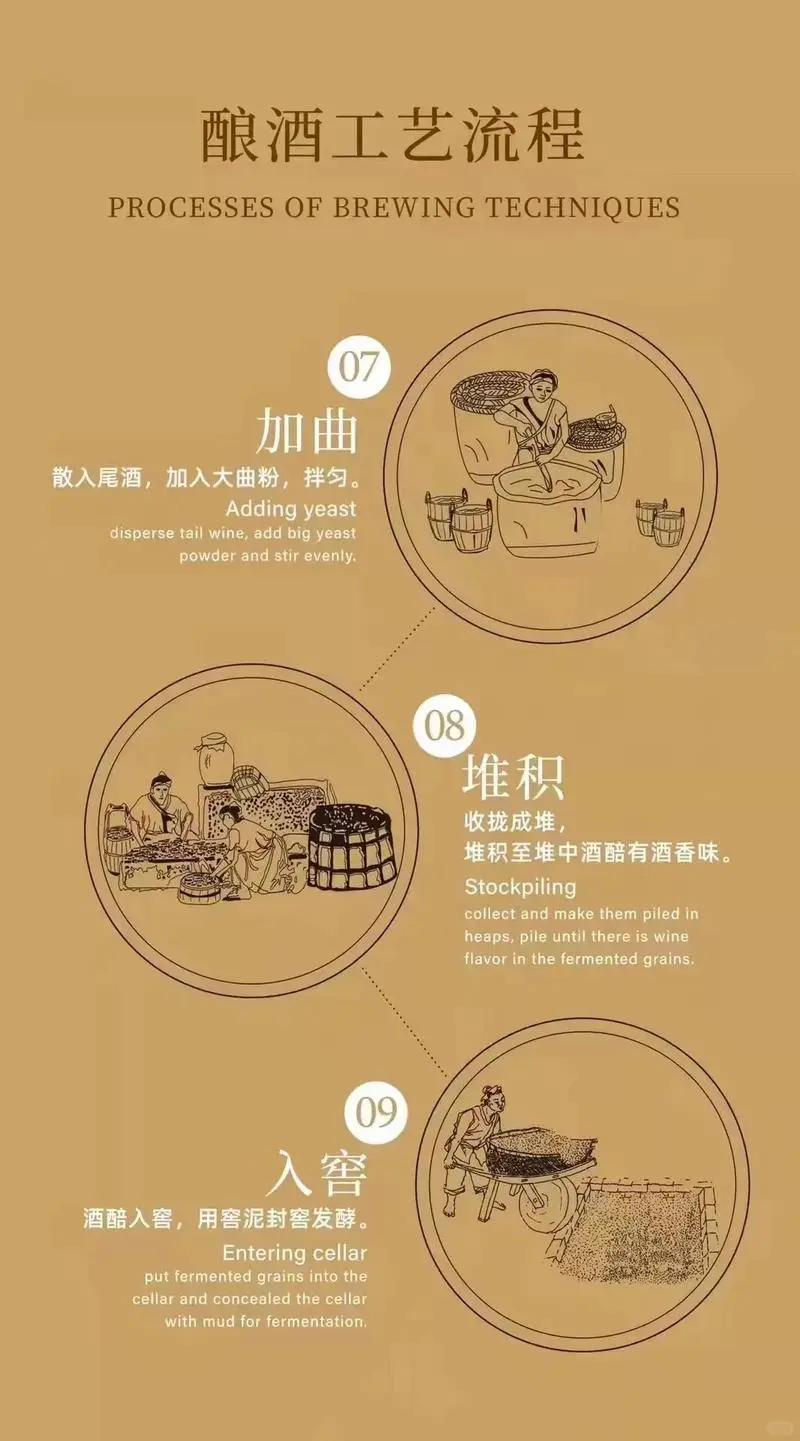 清香型白酒酿造