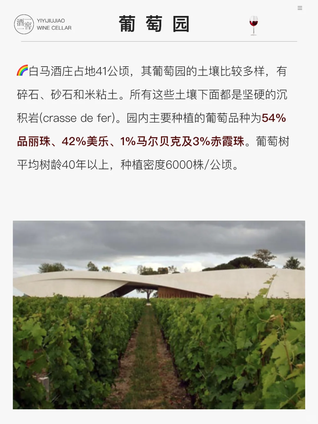 每天认识一款酒—白马庄园正牌干红葡萄酒