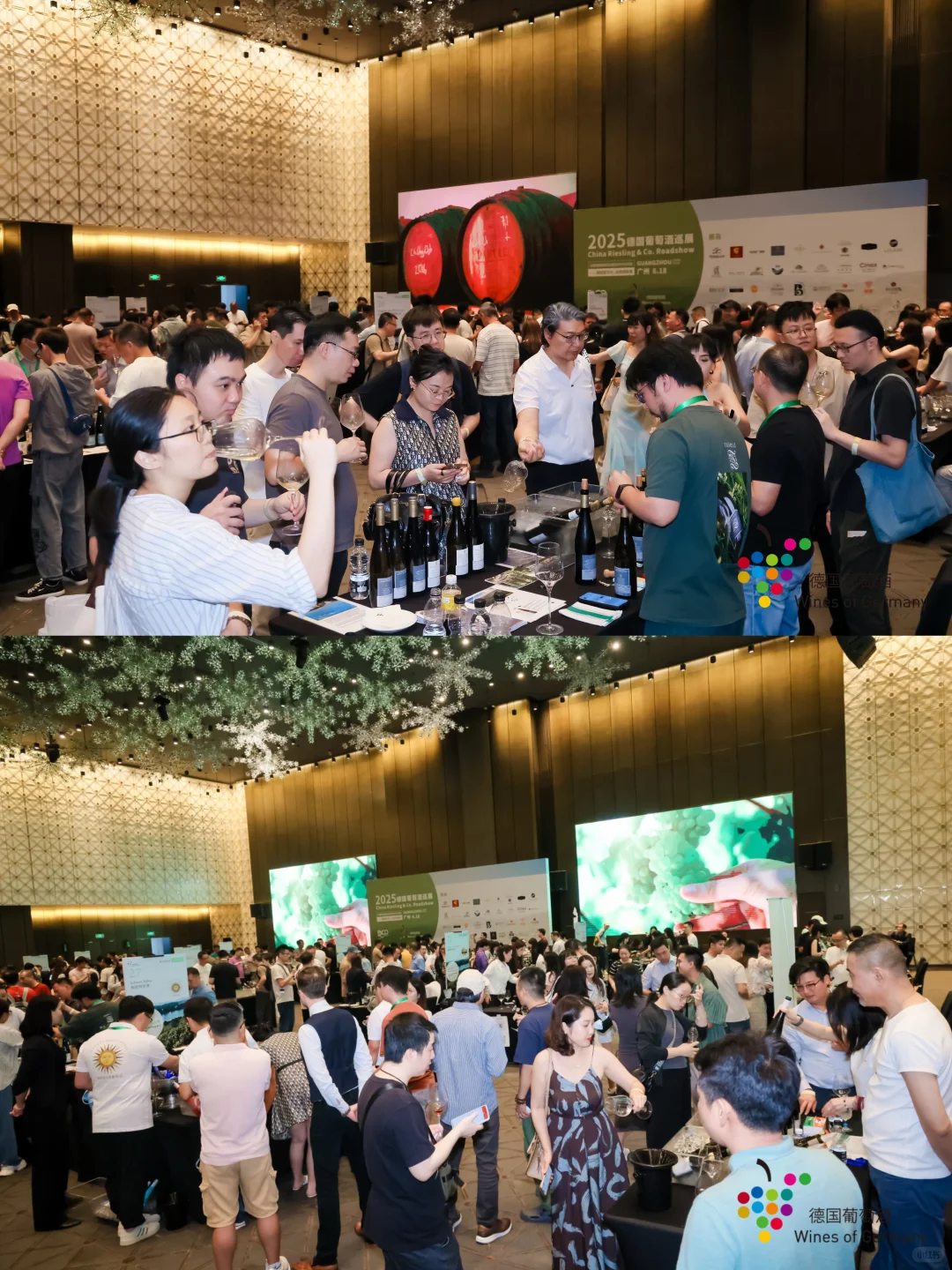 广州 & 厦门 2025德国葡萄酒巡展 工作日常