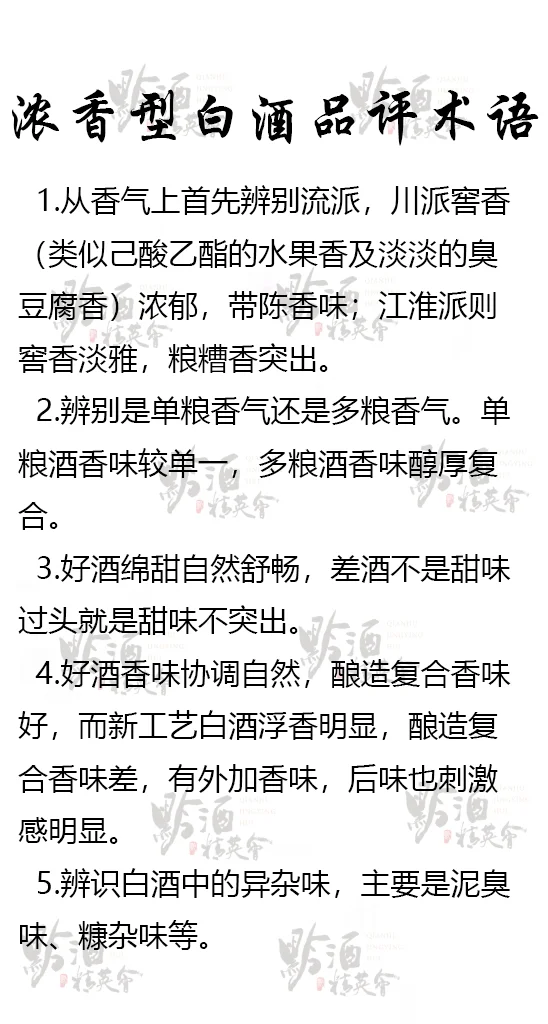 白酒小白偷偷学