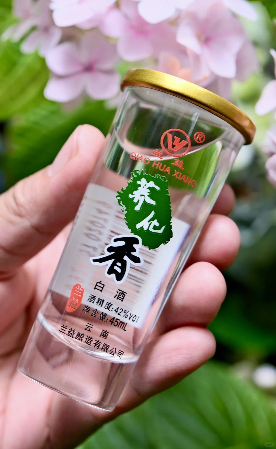 探秘云南人的心头好——荞化香白酒?
