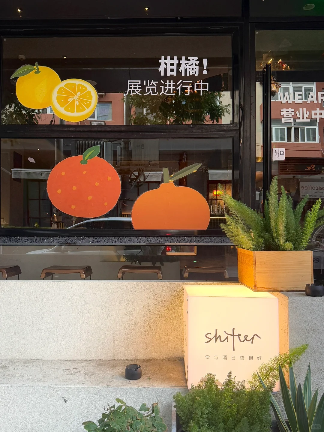 北京又有新的小展！?关于柑橘的一切