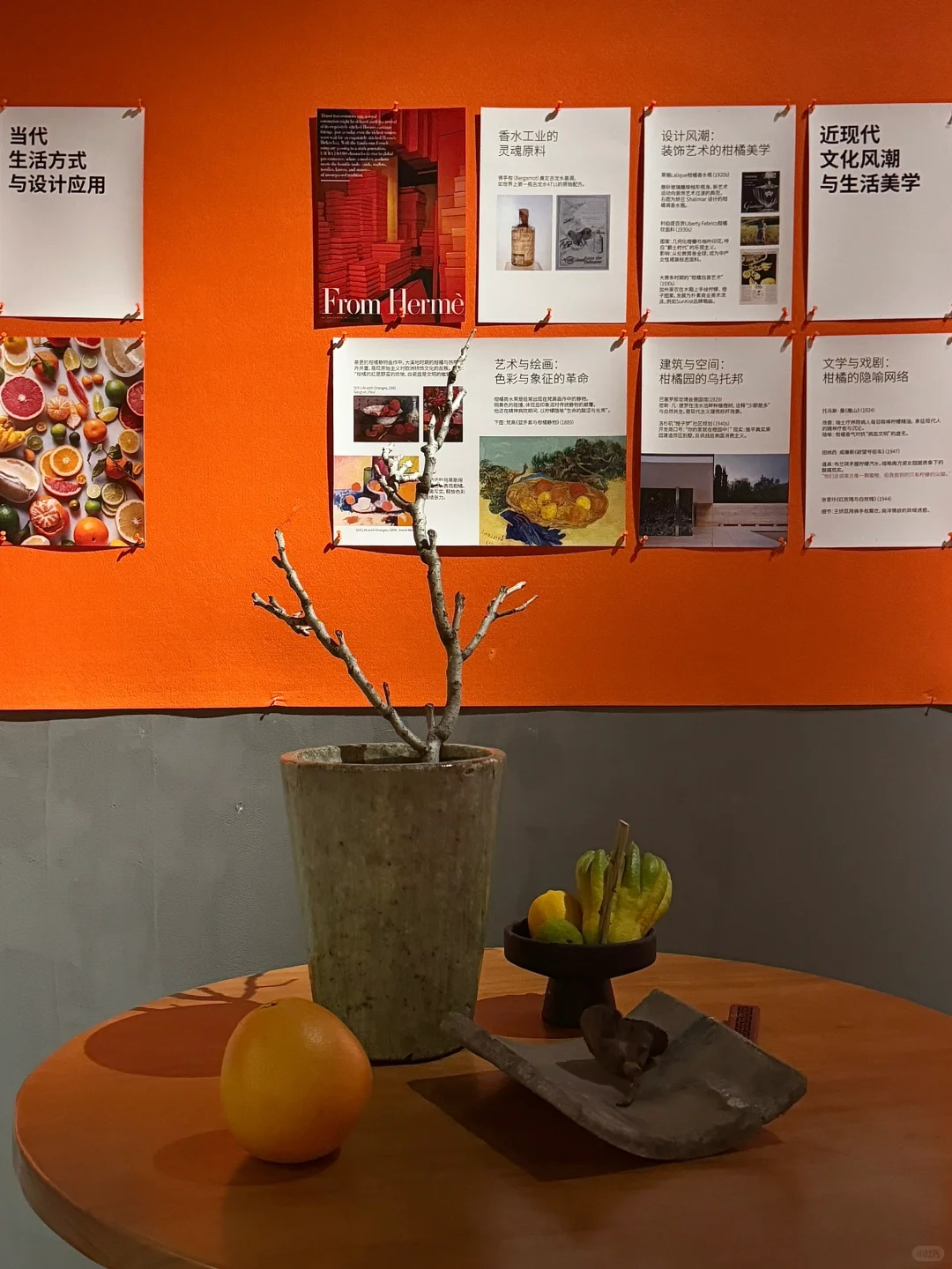 北京又有新的小展！?关于柑橘的一切