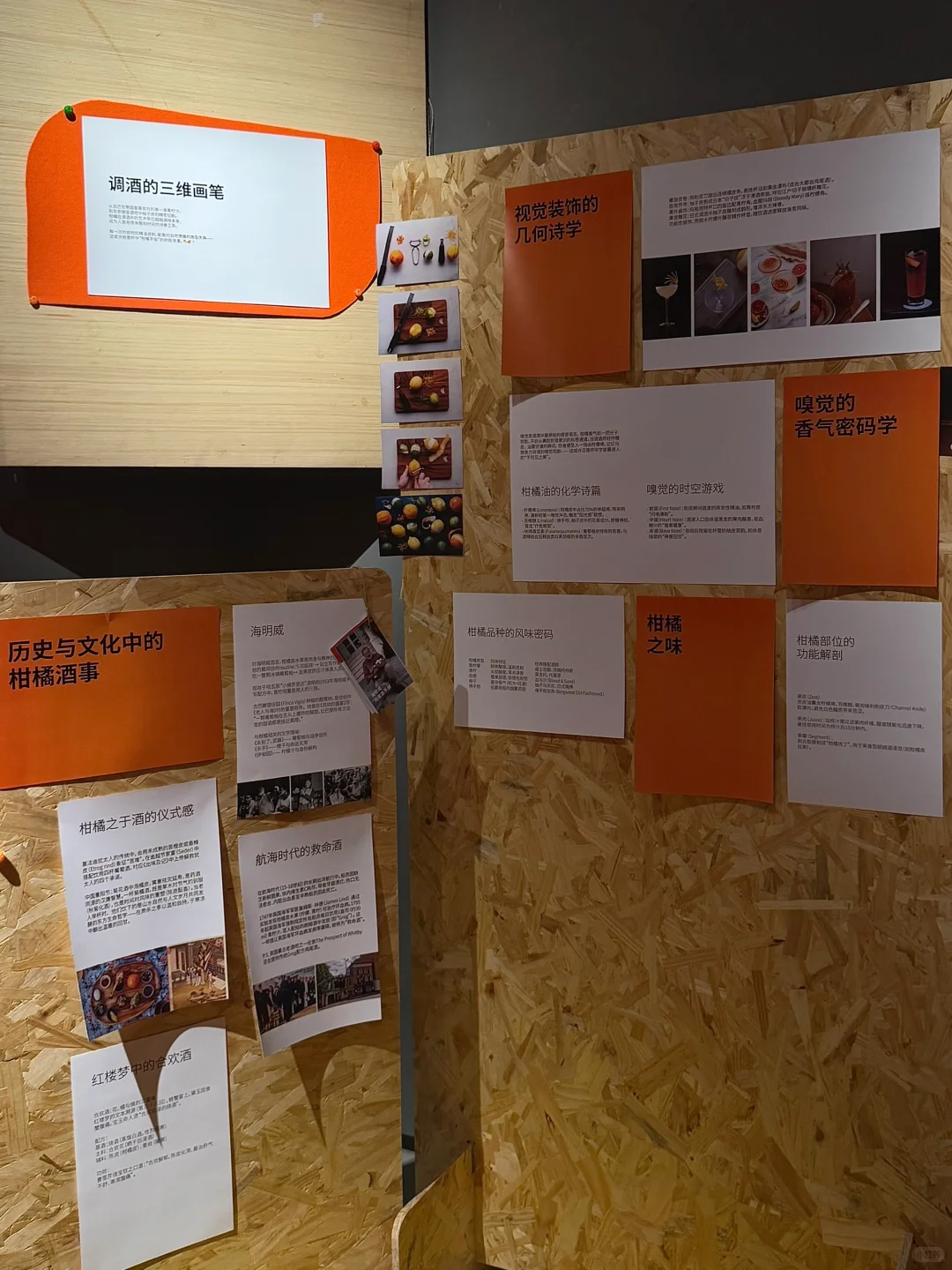 北京又有新的小展！?关于柑橘的一切