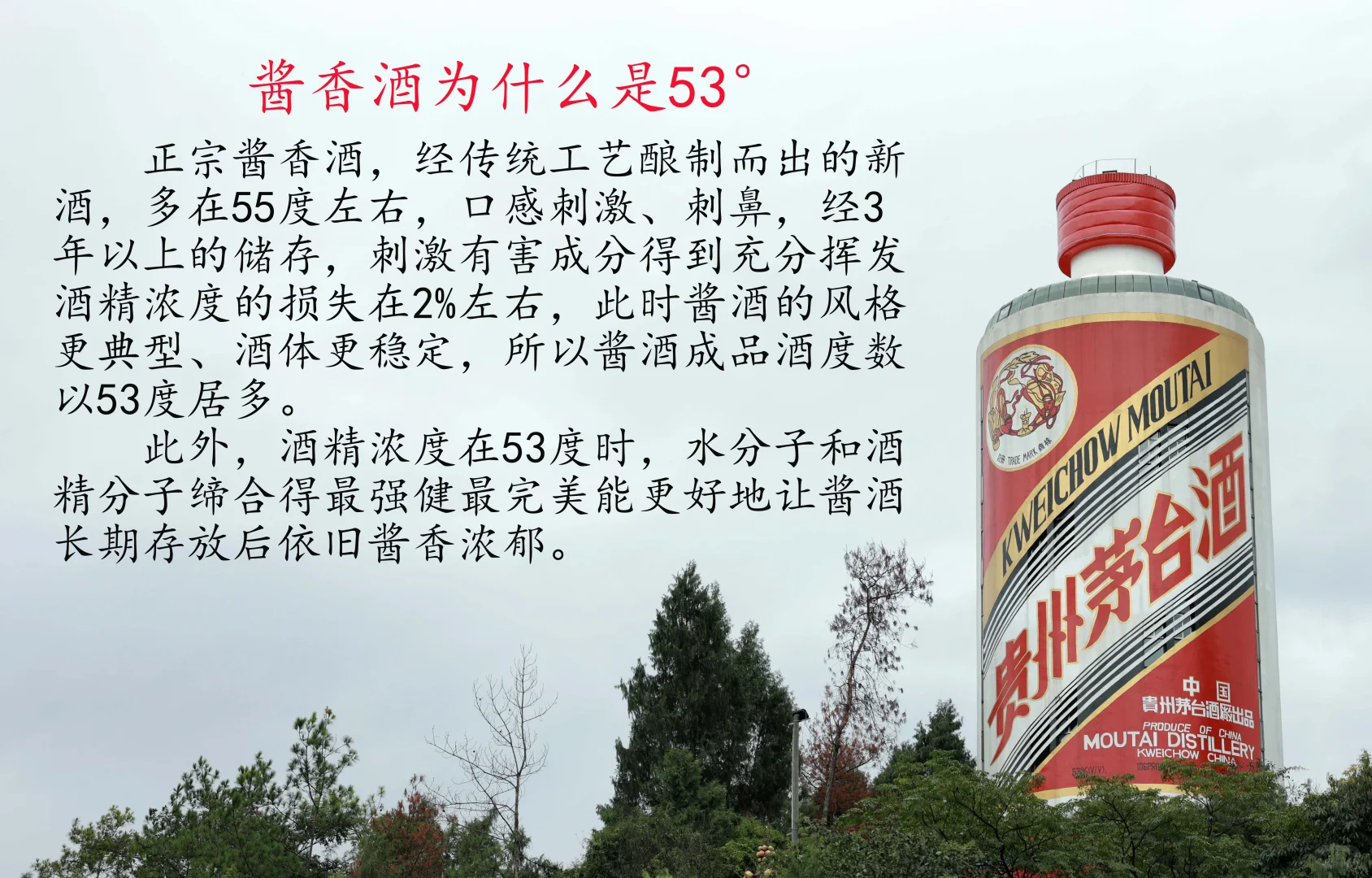 酱香酒为什么是53度