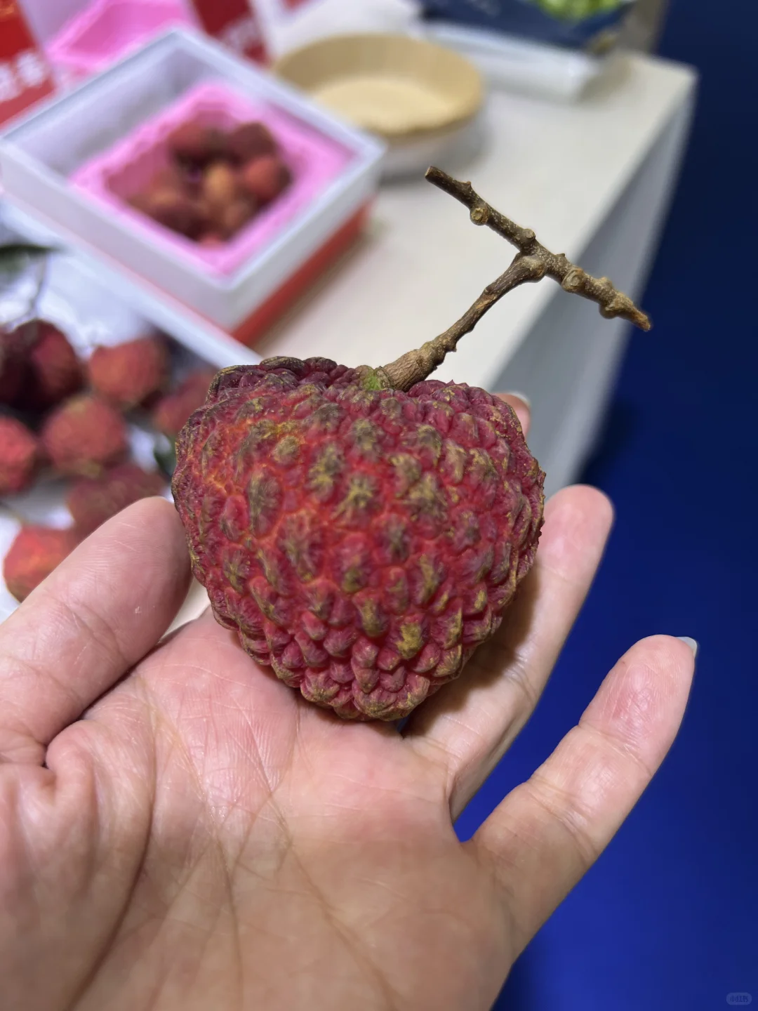 亚欧博览会第一天