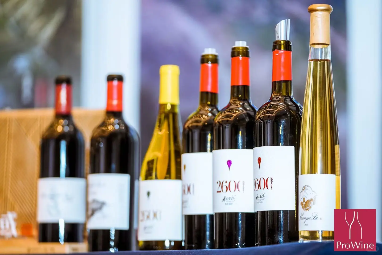 北京Prowine酒店展