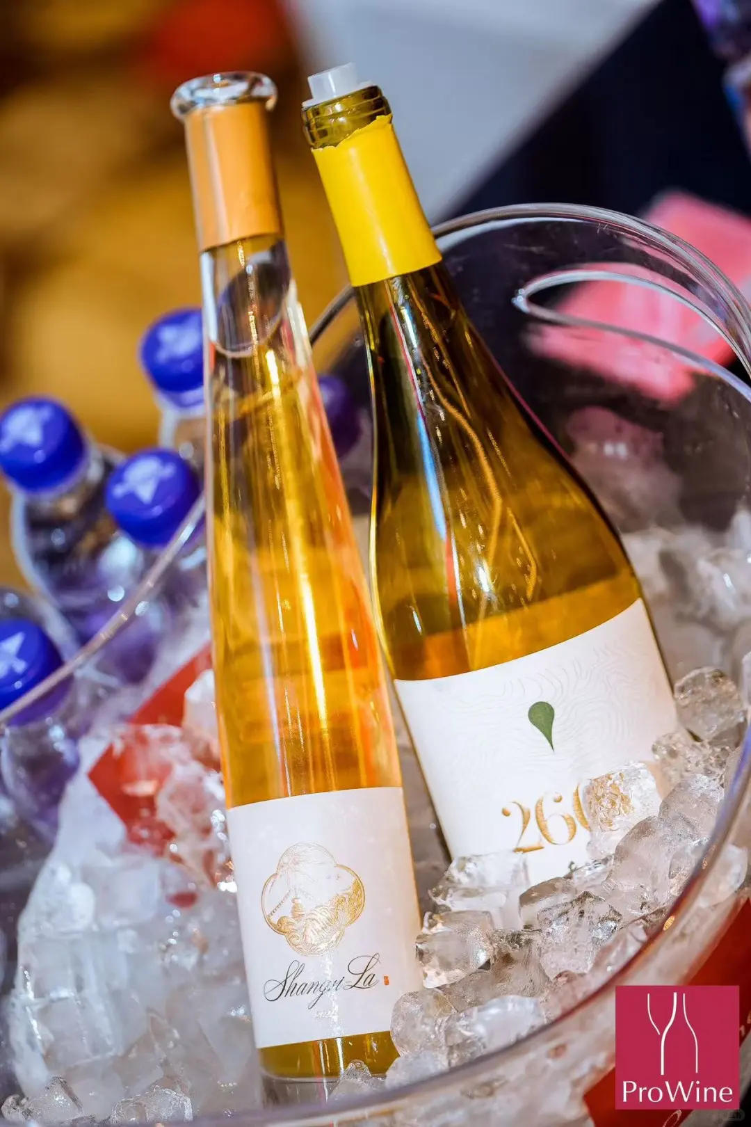 北京Prowine酒店展