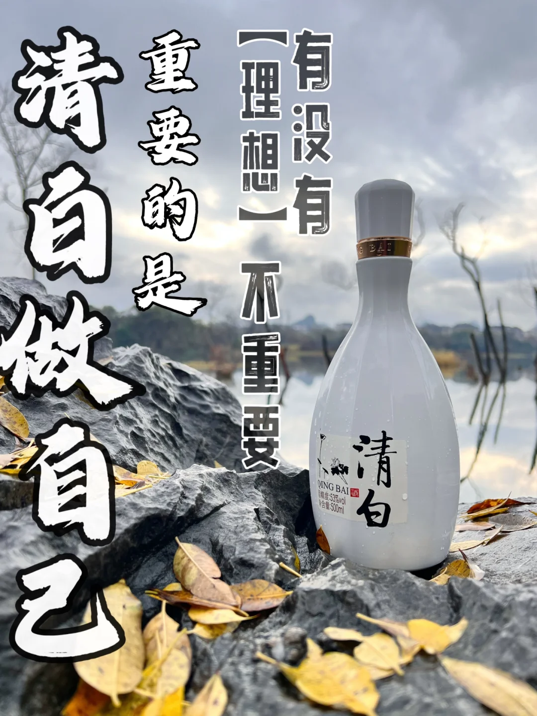 理想很丰满