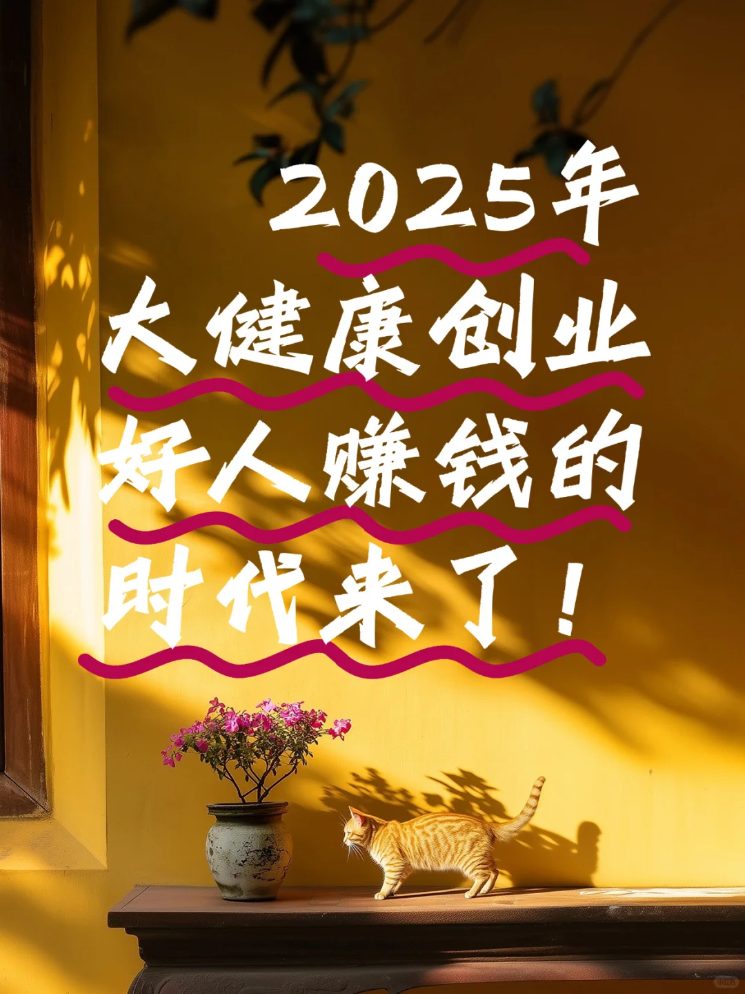 2025年大健康创业，好人赚钱的时代来了