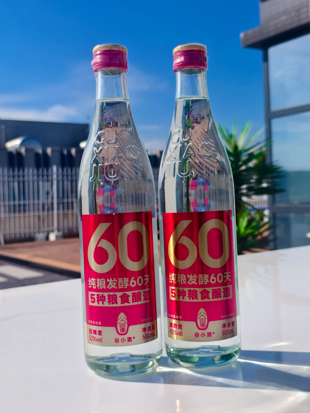 老爸的宝藏口粮酒?没忍住尝了尝