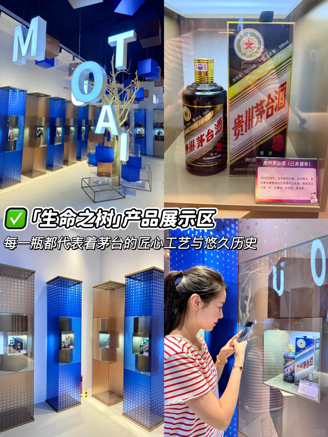 南京路快闪?2024上海茅粉嘉年华来了！！！！