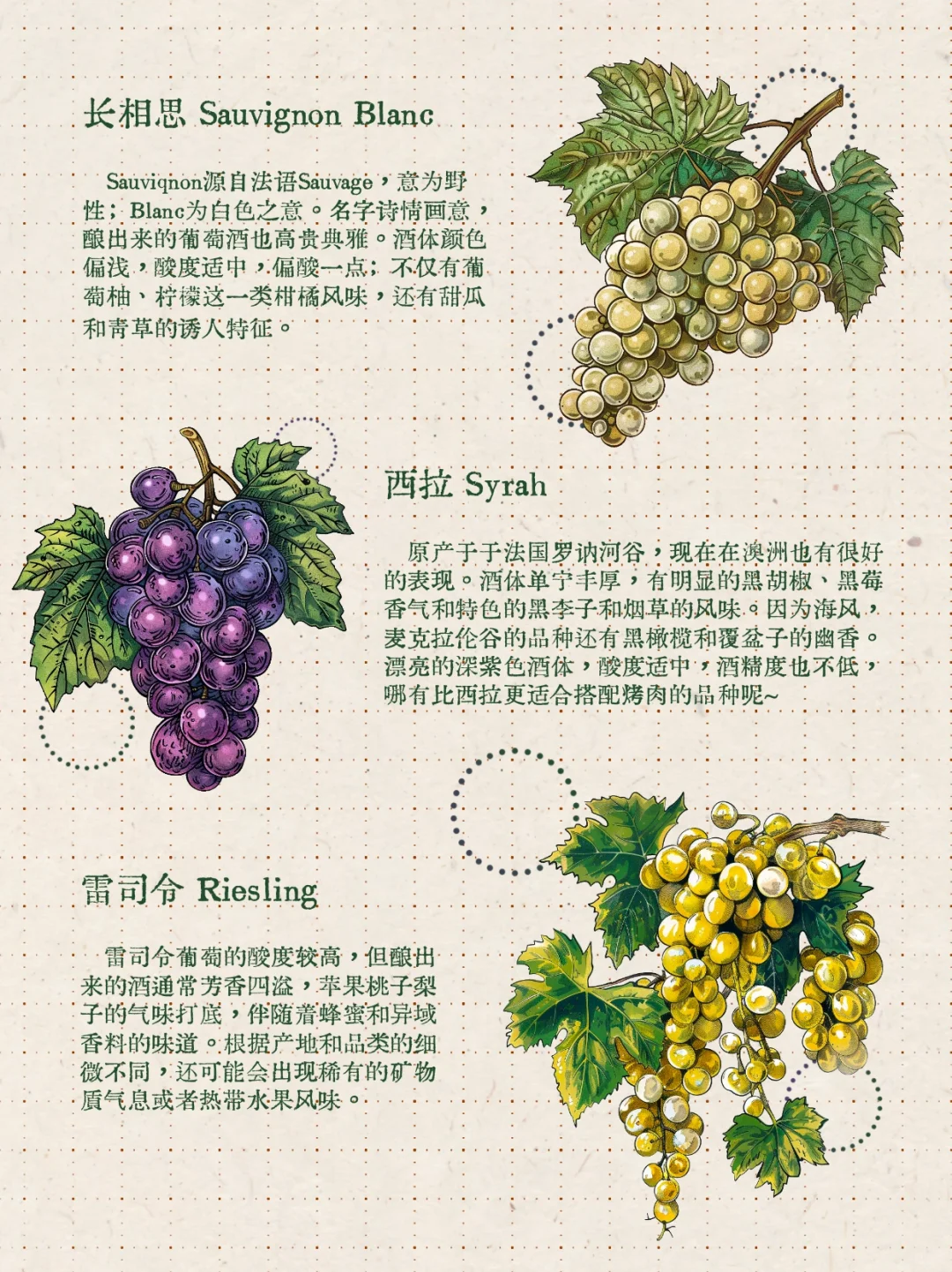 ?醉猫笔记丨9种常见酿酒葡萄?