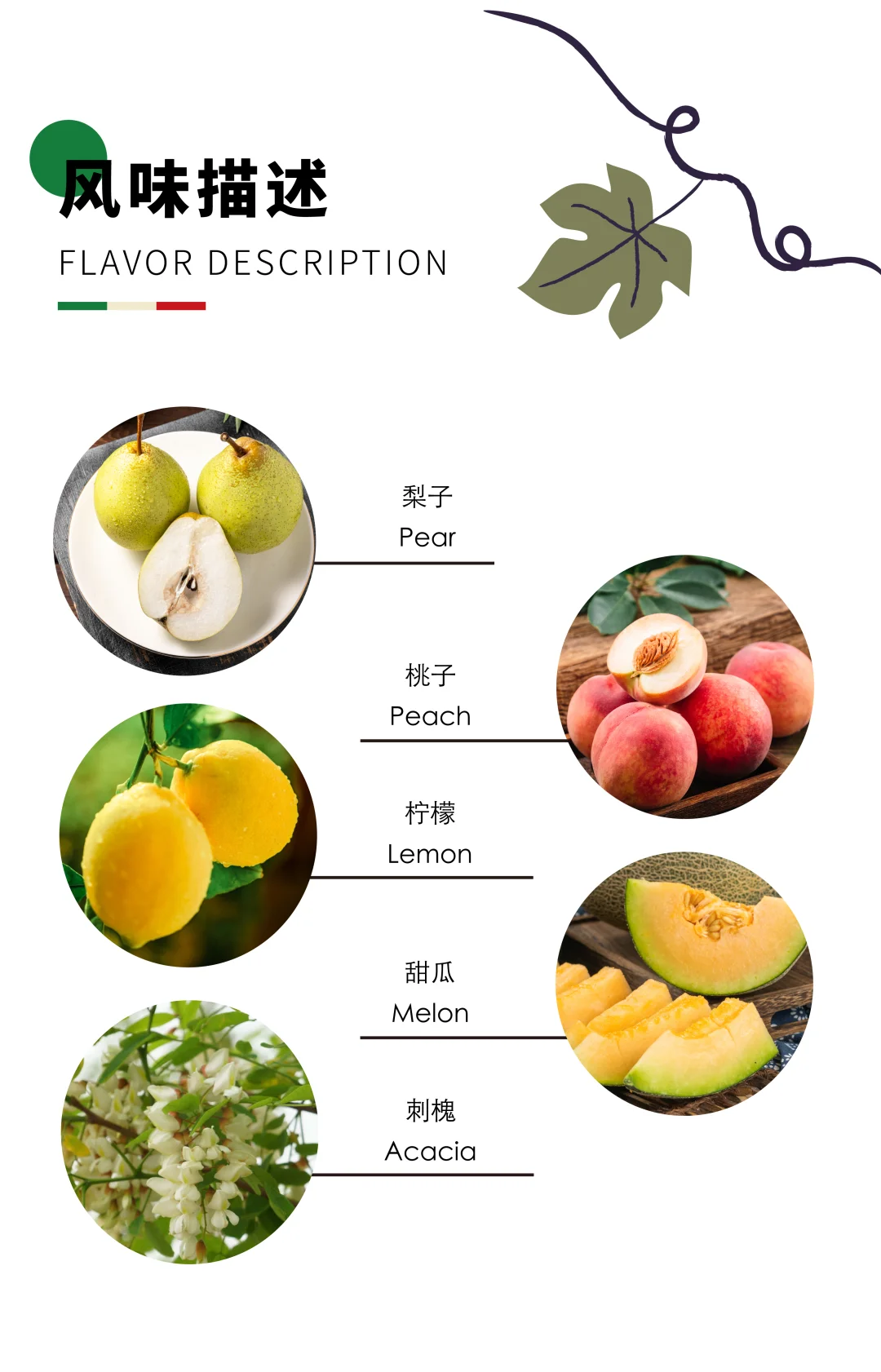 葡萄酒品鉴官招募 | 意大利美酒等你来品❗