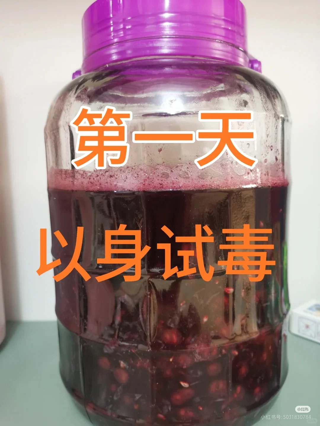 自酿葡萄酒第32天,酒色暗红分装小瓶