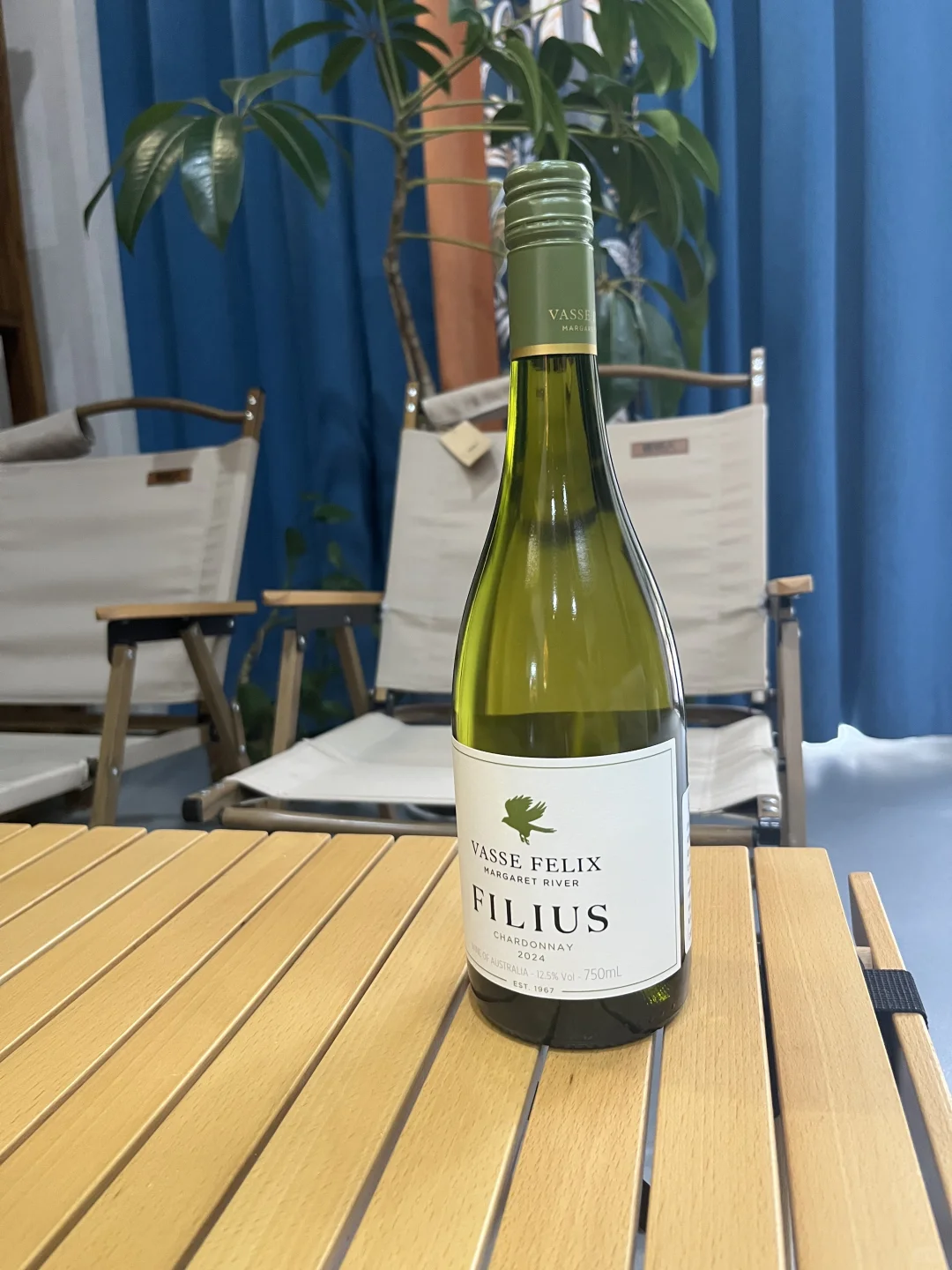 夏天喝什么酒