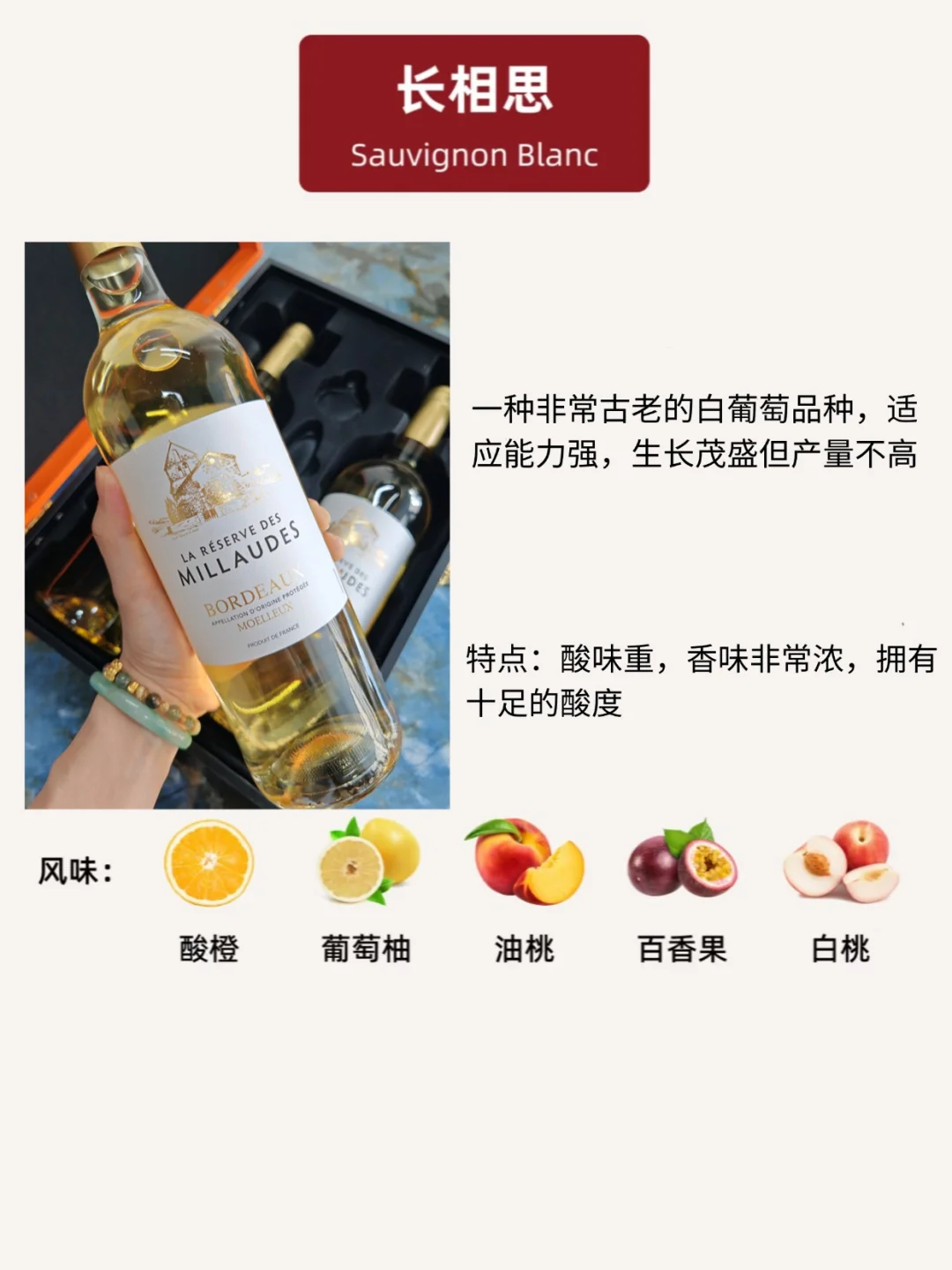 1️⃣分钟Get葡萄酒风味密码！