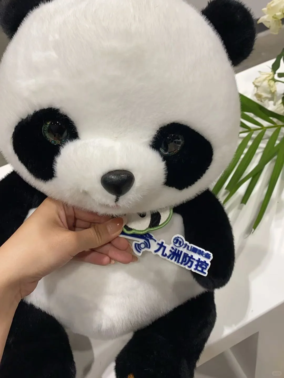 会展?人生的体验又增加了?