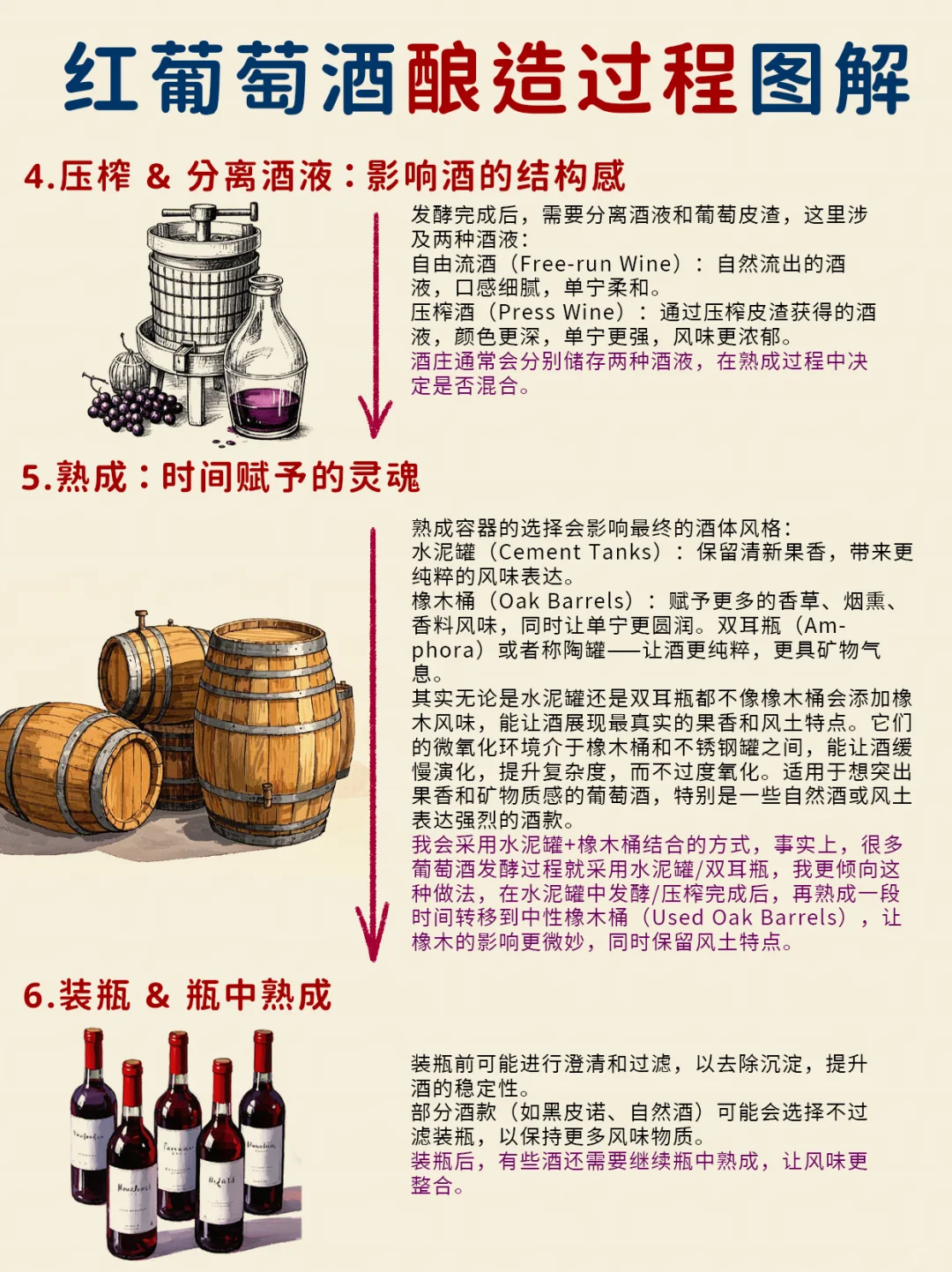 入门篇|带你看看葡萄酒是怎么酿造的