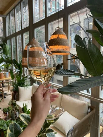 葡萄酒和果酒到底是不是一回事？