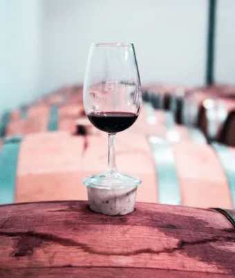 葡萄酒和果酒到底是不是一回事？