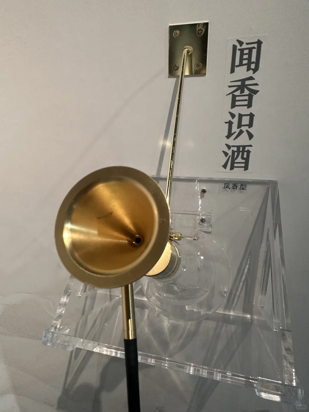 这个体验有意思