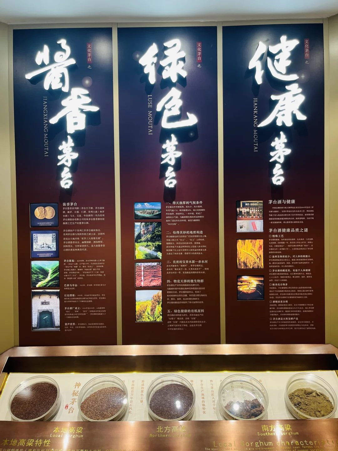 7️⃣7️⃣新星酒文化博物馆，来看整面墙茅台啊