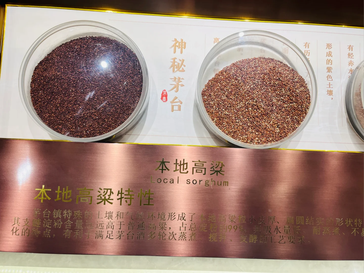 7️⃣7️⃣新星酒文化博物馆，来看整面墙茅台啊