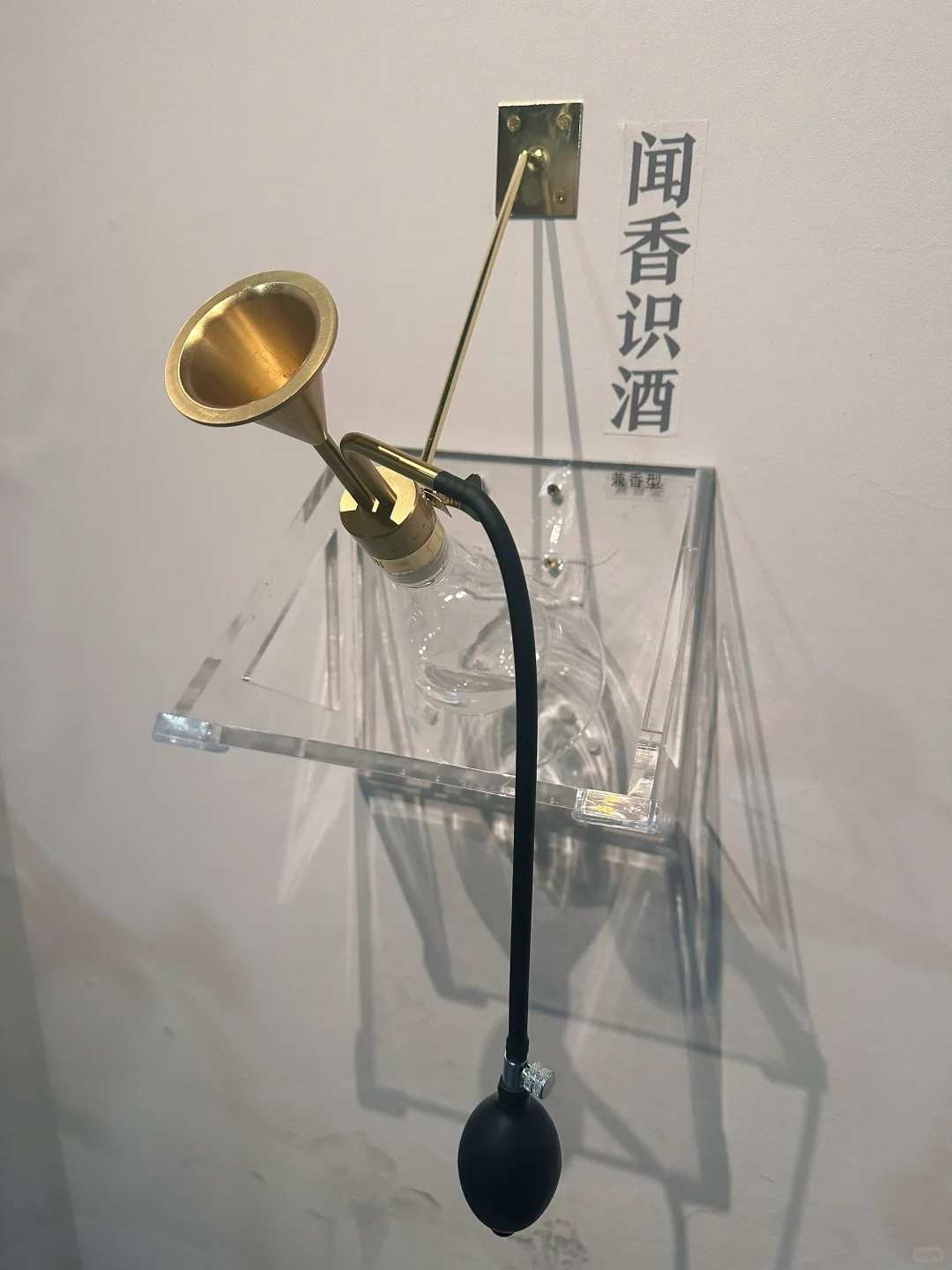 这个体验有意思