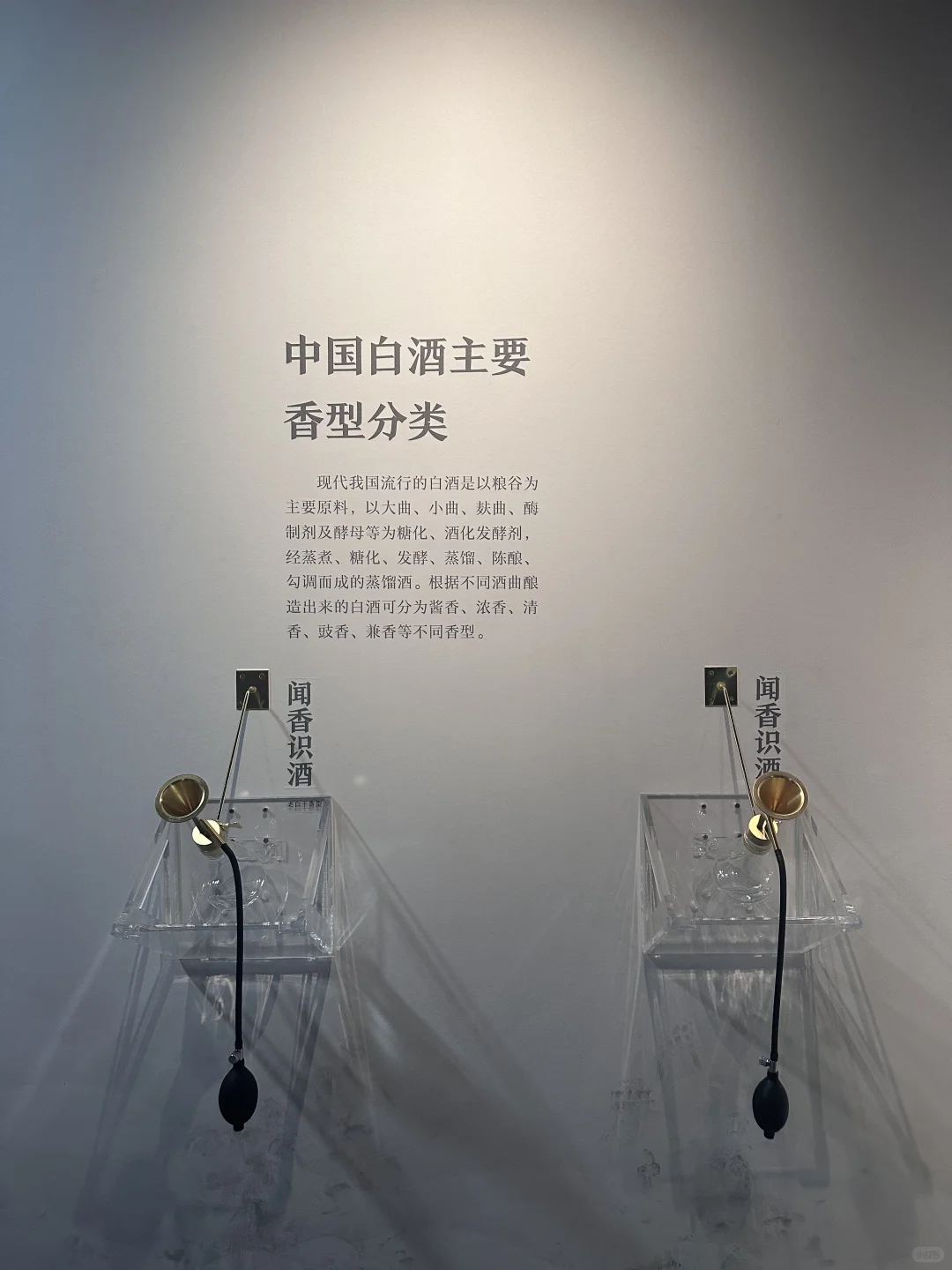 这个体验有意思