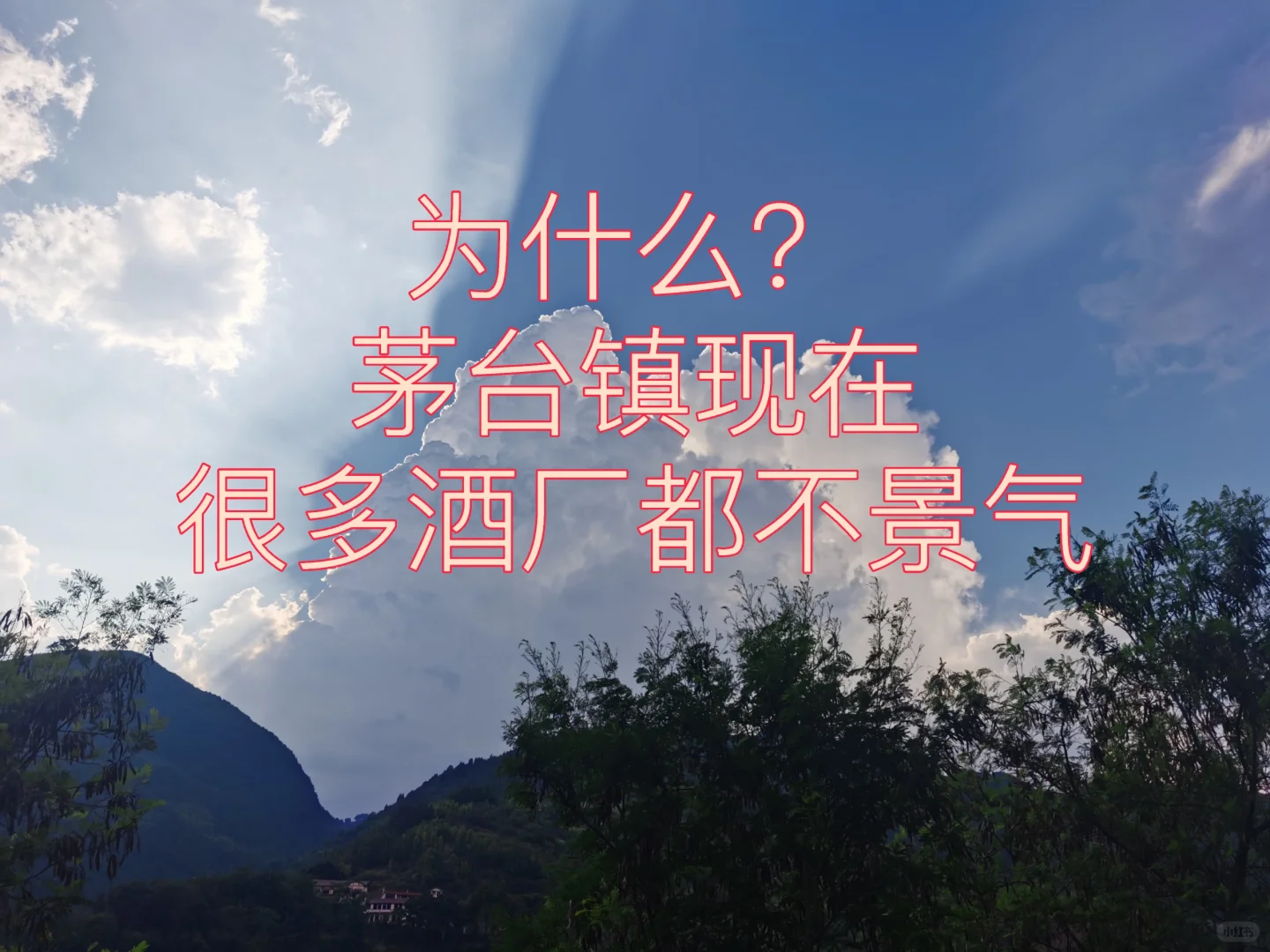 ?为什么茅台镇现在很多酒厂都不景气呢？