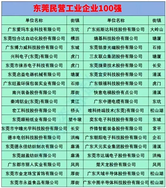 东莞民营工业企业100强