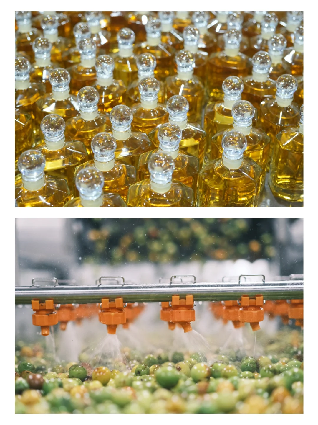 花酒果酒茶酒 | 源头工厂直供