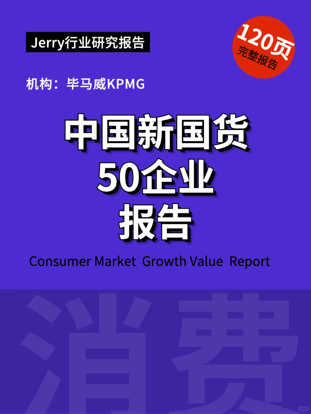 中国新国货50企业报告 行业报告研究