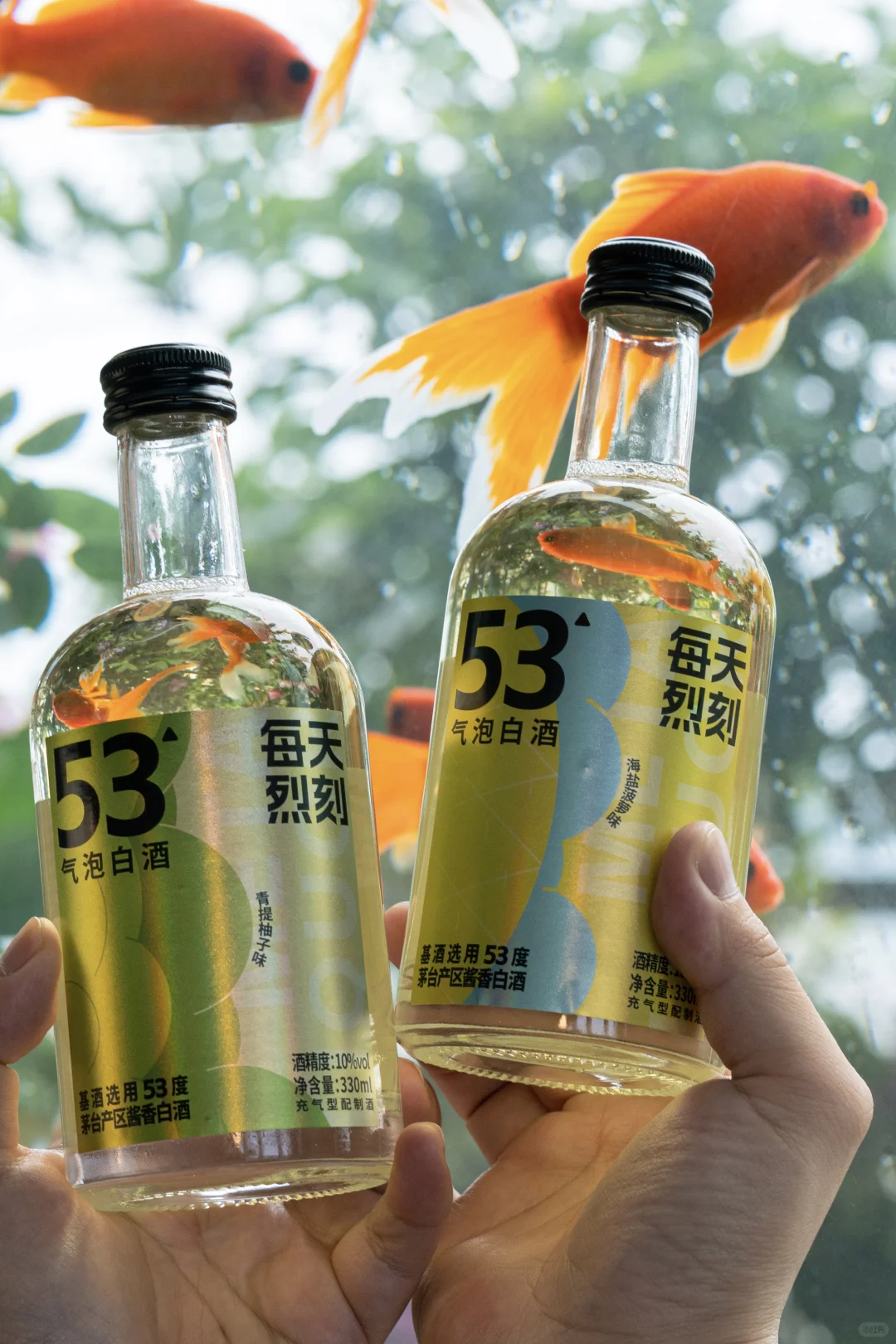 茅台镇气泡白酒？每天烈刻报到！